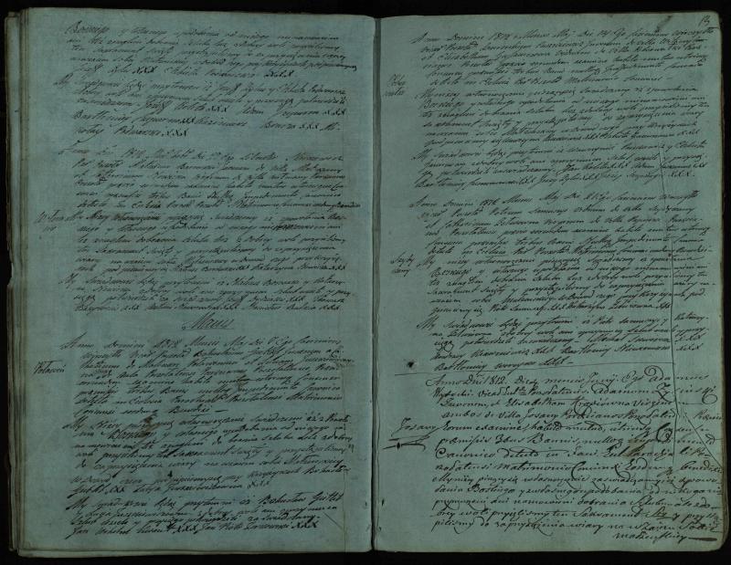 Pušaloto Romos katalikų parapijos bažnyčios 1810–1819 metų jungtuvių metrikų knyga