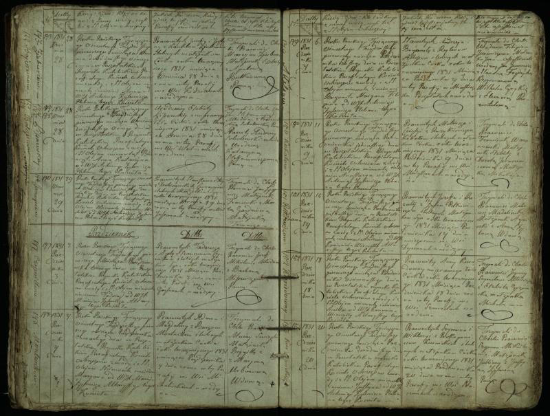 Pušaloto Romos katalikų parapijos bažnyčios 1828–1834 metų krikšto metrikų knyga