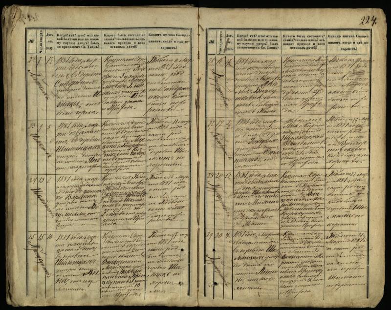 Pasvalio Romos katalikų parapijos bažnyčios 1866–1881 metų mirties metrikų knyga