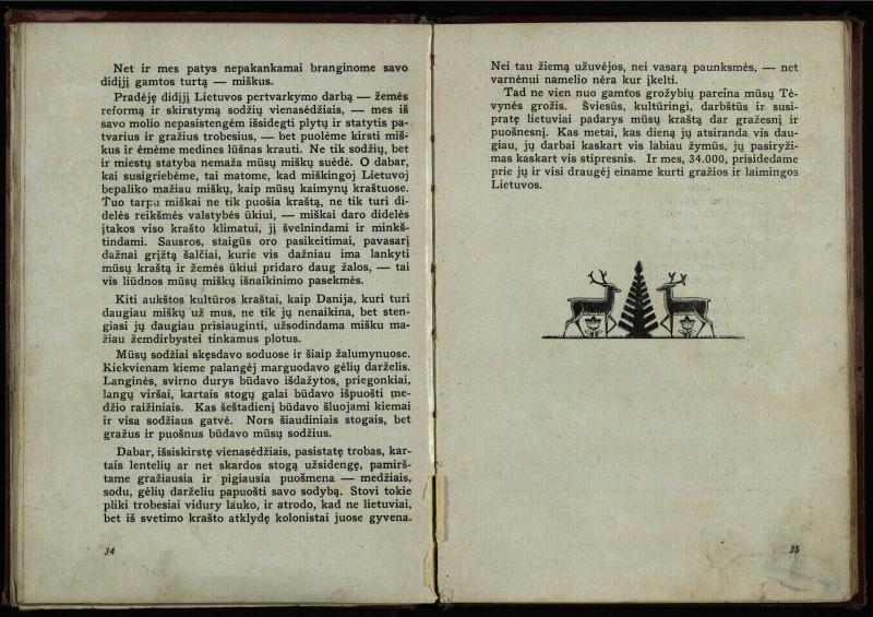 Naujoji Lietuva