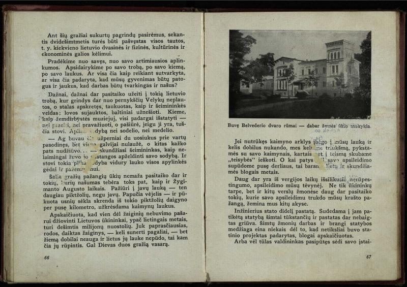 Naujoji Lietuva
