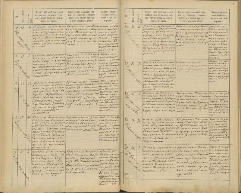Pasvalio Romos katalikų parapijos bažnyčios 1894–1907 metų mirties metrikų knyga