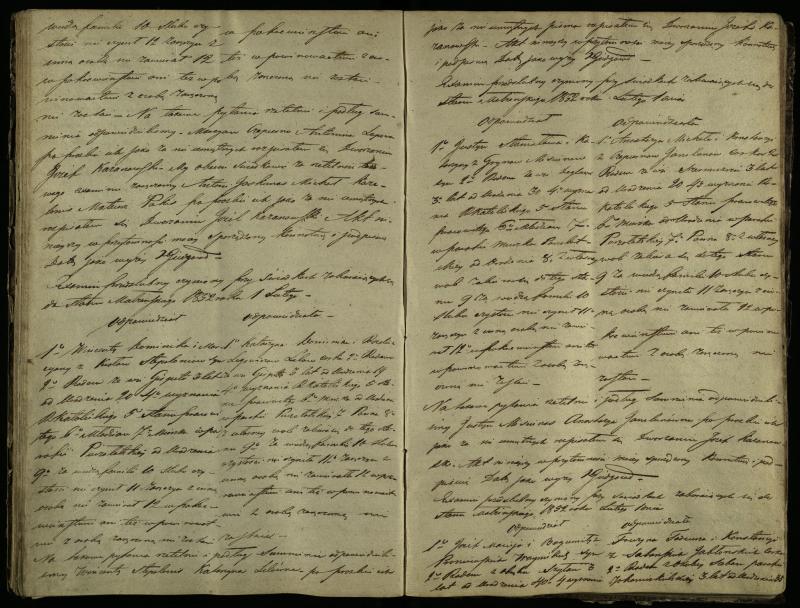 Pušaloto Romos katalikų parapijos bažnyčios 1847–1855 metų priešjungtuvinės apklausos knyga