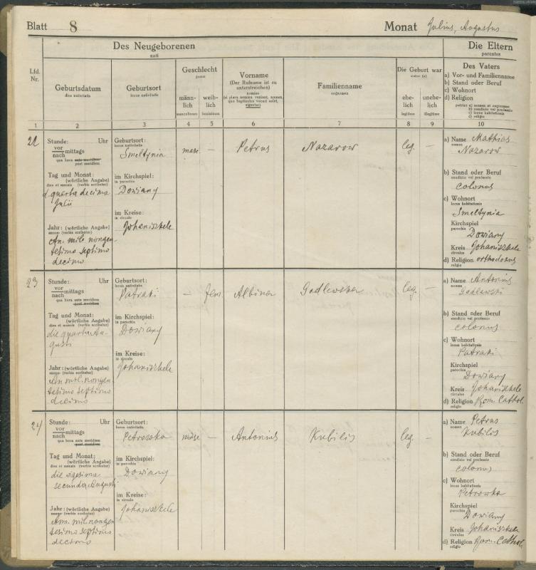 Daujėnų Romos katalikų parapijos bažnyčios 1917–1918 metų krikšto metrikų knyga