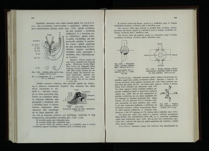 Akių ligų vadovas / Petras Avižonis. – Kaunas: Medicinos fakultetao leidinys, 1940. – VIII, 841, [2] p., 18 iliustr. lap.