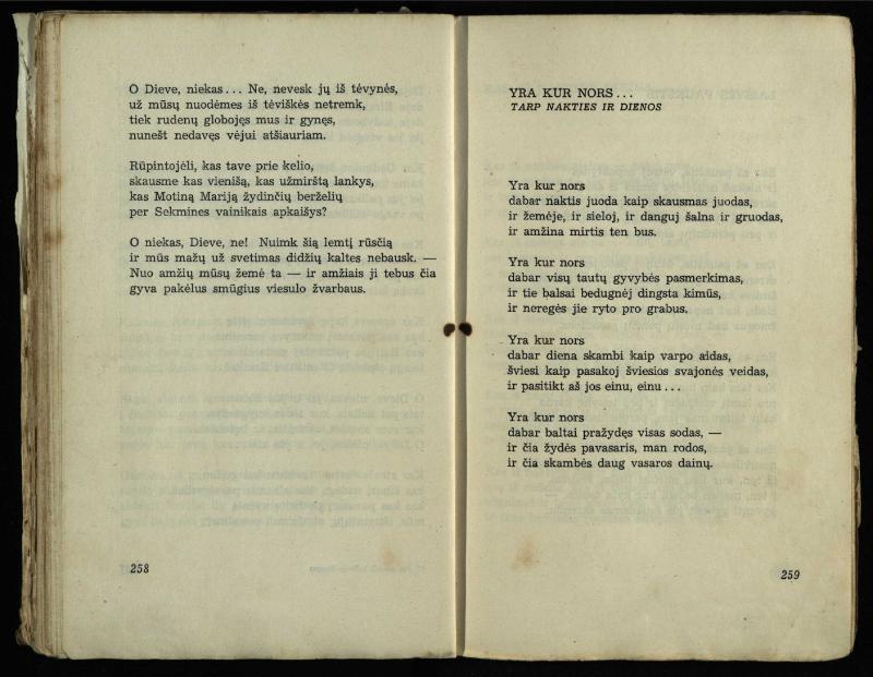 Per pasaulį keliauja žmogus : rinktinė poezija