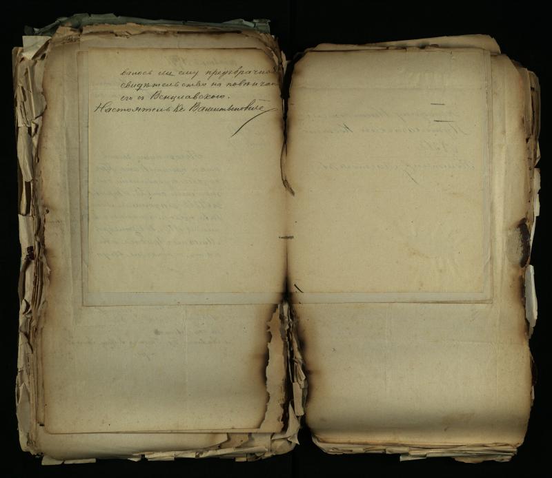 Pušaloto Romos katalikų parapijos bažnyčios 1884–1900 metų gaunamų raštų knyga
