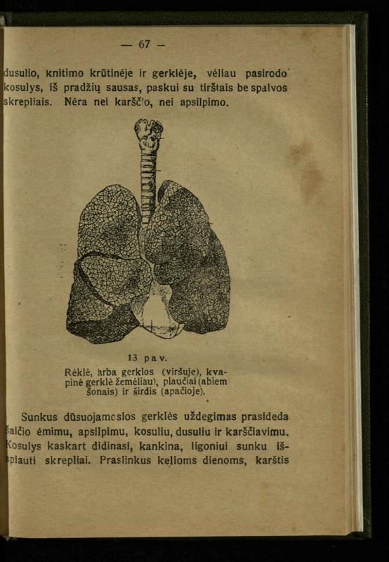 Naminis gydytojas: trumpas paprasčiausių ligų aprašymas ir jų gydymas / d-ras A. Vileišis. – 2-asis patais. leid. – Kaunas: „Švyturio“ b-vės leidinys, 1924. – 143 p.