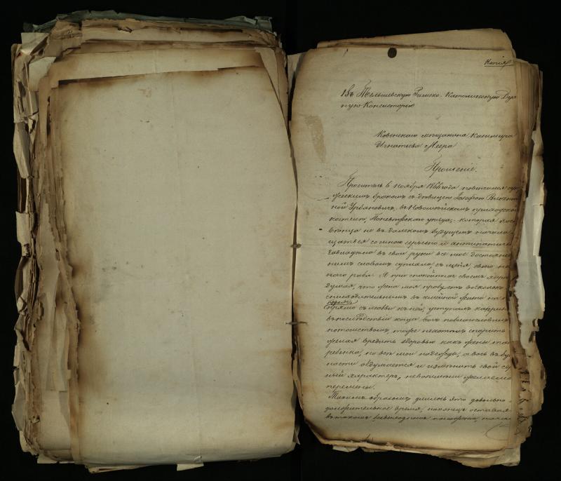 Pušaloto Romos katalikų parapijos bažnyčios 1884–1900 metų gaunamų raštų knyga