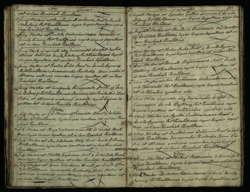 Pušaloto Romos katalikų parapijos bažnyčios 1785–1810 metų mirties metrikų knyga