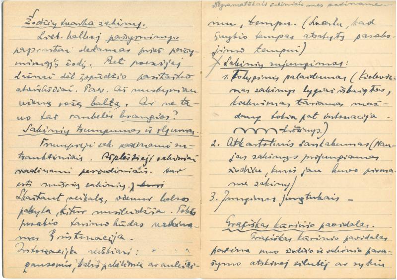 Rašytojo, savaitraščio „Tėviškės Žiburiai“ redaktoriaus Česlovo Senkevičiaus parengta literatūros teorijos pradmenų santrauka