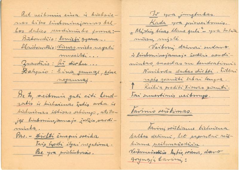 Rašytojo, savaitraščio „Tėviškės Žiburiai“ redaktoriaus Česlovo Senkevičiaus konspektai „Lietuvių kalbos sintaksė“