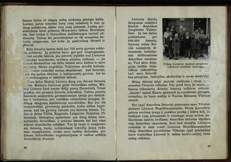 Naujoji Lietuva