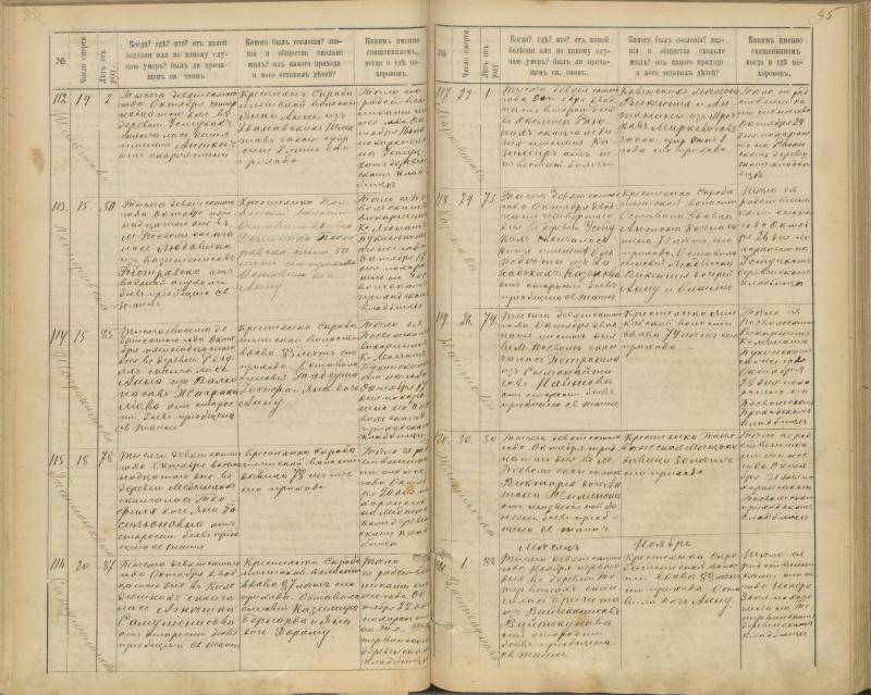 Pasvalio Romos katalikų parapijos bažnyčios 1894–1907 metų mirties metrikų knyga