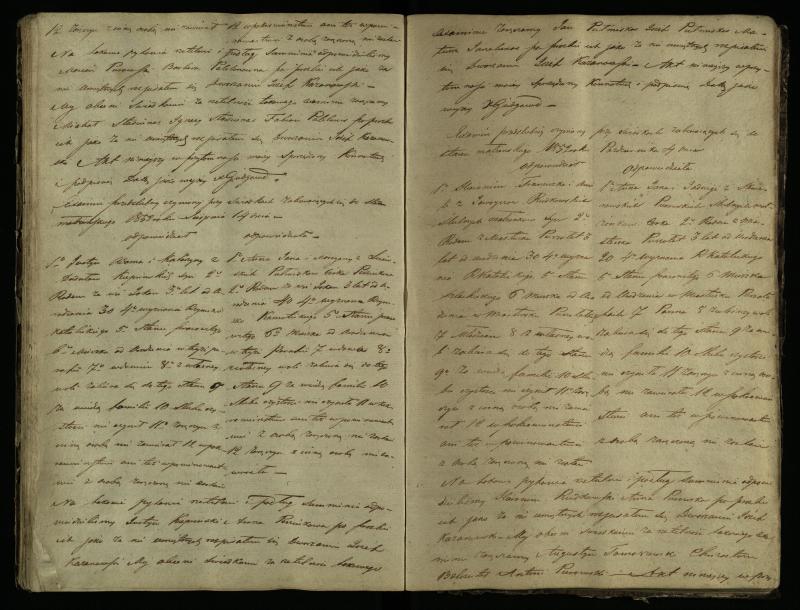 Pušaloto Romos katalikų parapijos bažnyčios 1847–1855 metų priešjungtuvinės apklausos knyga