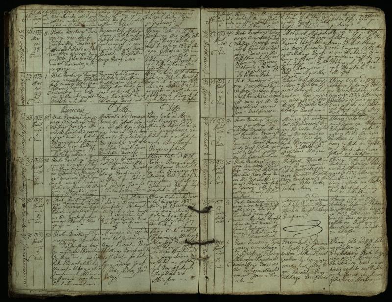 Pušaloto Romos katalikų parapijos bažnyčios 1828–1834 metų mirties metrikų knyga
