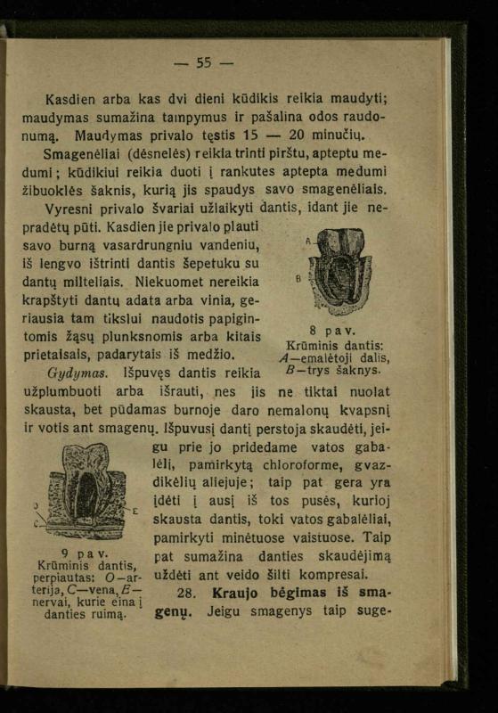Naminis gydytojas: trumpas paprasčiausių ligų aprašymas ir jų gydymas / d-ras A. Vileišis. – 2-asis patais. leid. – Kaunas: „Švyturio“ b-vės leidinys, 1924. – 143 p.