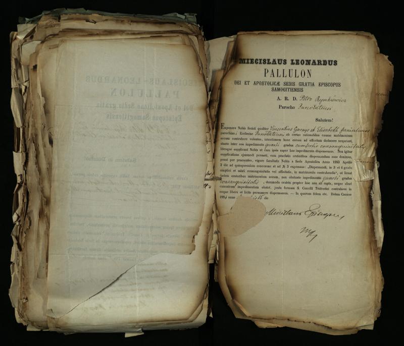 Pušaloto Romos katalikų parapijos bažnyčios 1884–1900 metų gaunamų raštų knyga