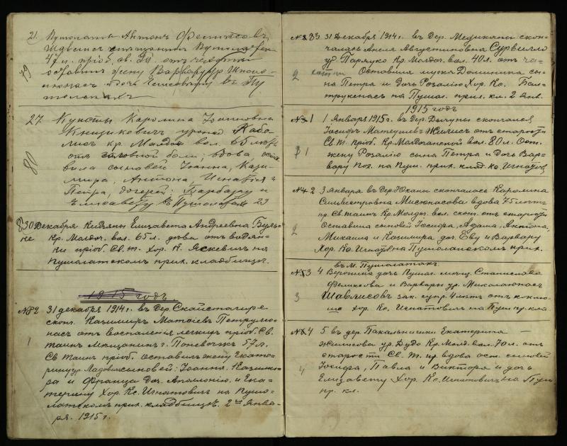 Pušaloto Romos katalikų parapijos bažnyčios 1912–1918 metų mirties metrikų knyga