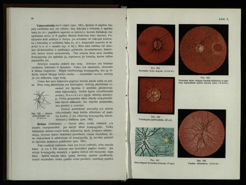 Akių ligų vadovas / Petras Avižonis. – Kaunas: Medicinos fakultetao leidinys, 1940. – VIII, 841, [2] p., 18 iliustr. lap.
