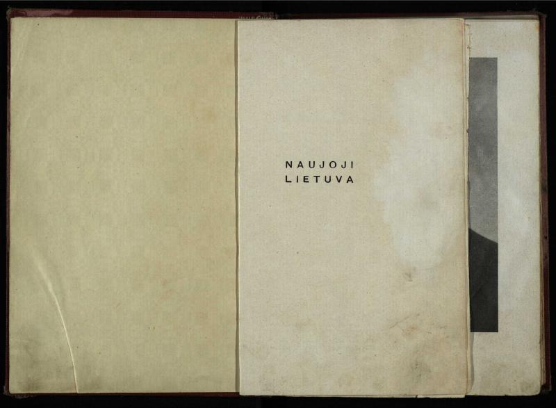 Naujoji Lietuva