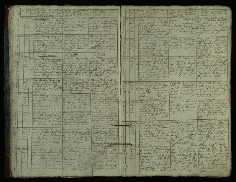 Pušaloto Romos katalikų parapijos bažnyčios 1828–1834 metų mirties metrikų knyga