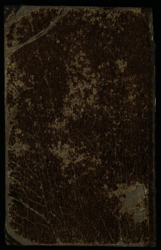Pušaloto Romos katalikų parapijos bažnyčios 1885–1891 metų priešjungtuvinės apklausos knyga