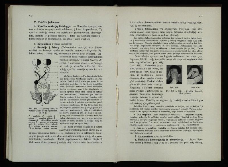 Akių ligų vadovas / Petras Avižonis. – Kaunas: Medicinos fakultetao leidinys, 1940. – VIII, 841, [2] p., 18 iliustr. lap.