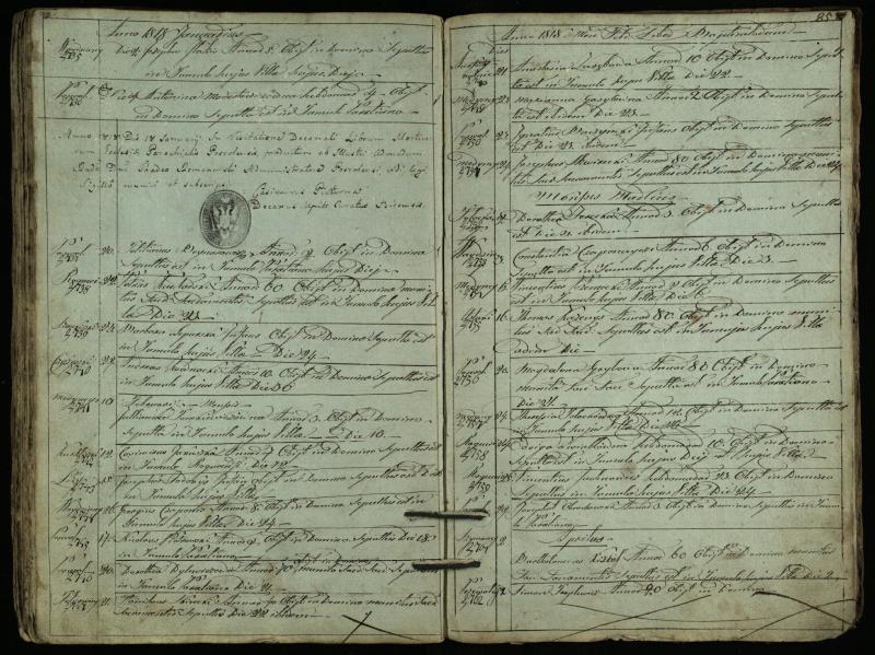 Pasvalio Romos katalikų parapijos bažnyčios 1794–1819 metų mirties metrikų knyga