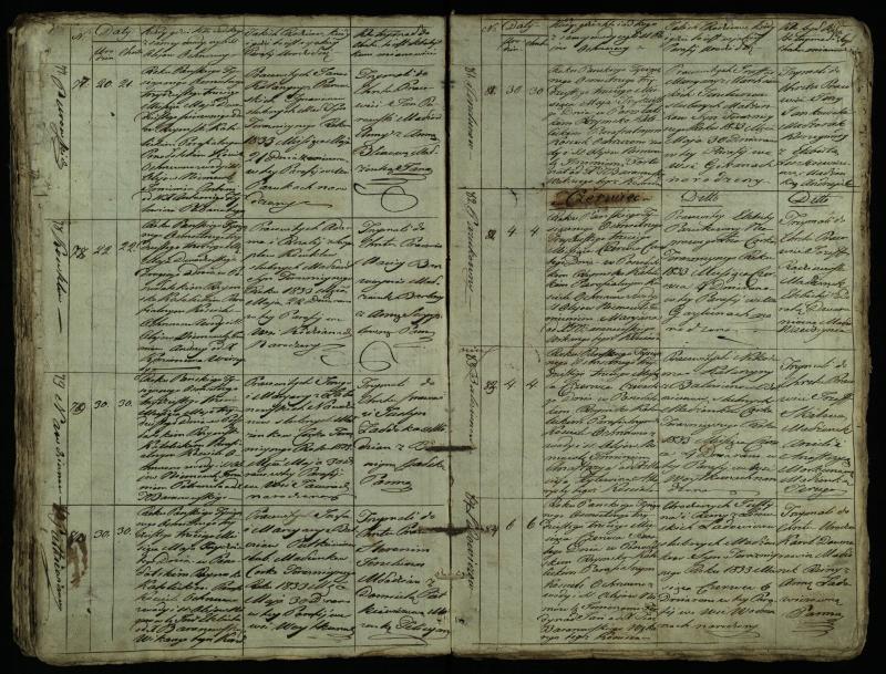 Pušaloto Romos katalikų parapijos bažnyčios 1828–1834 metų krikšto metrikų knyga