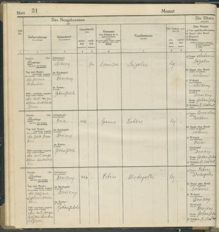Daujėnų Romos katalikų parapijos bažnyčios 1917–1918 metų krikšto metrikų knyga