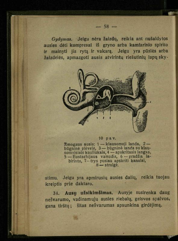 Naminis gydytojas: trumpas paprasčiausių ligų aprašymas ir jų gydymas / d-ras A. Vileišis. – 2-asis patais. leid. – Kaunas: „Švyturio“ b-vės leidinys, 1924. – 143 p.