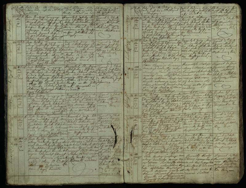 Pušaloto Romos katalikų parapijos bažnyčios 1828–1834 metų krikšto metrikų knyga