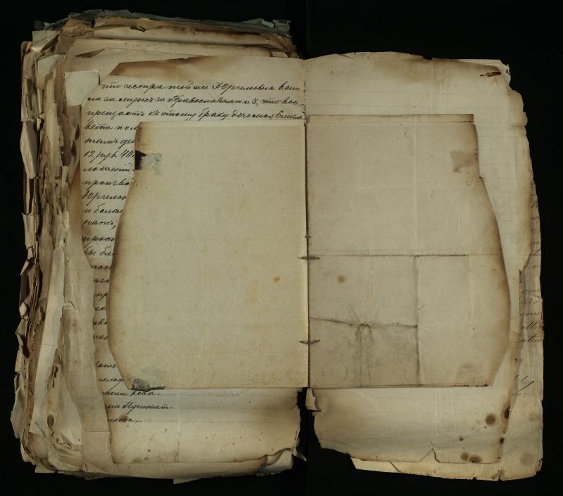 Pušaloto Romos katalikų parapijos bažnyčios 1884–1900 metų gaunamų raštų knyga