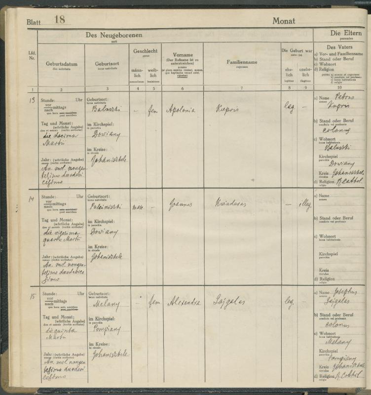 Daujėnų Romos katalikų parapijos bažnyčios 1917–1918 metų krikšto metrikų knyga