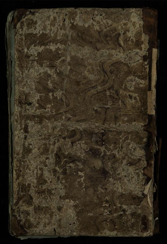 Pušaloto Romos katalikų parapijos bažnyčios 1802–1814 metų krikšto metrikų knyga