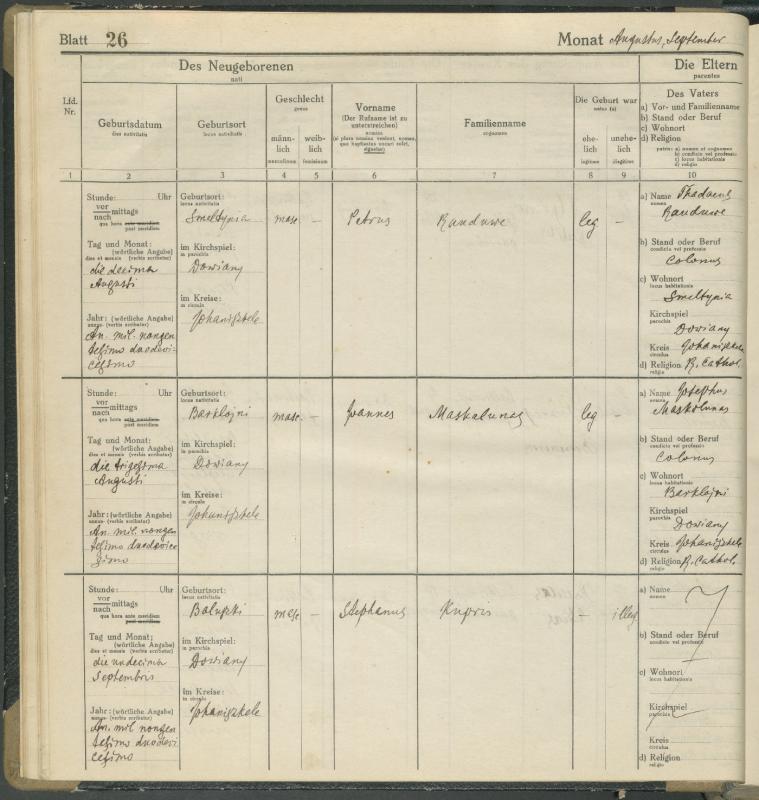 Daujėnų Romos katalikų parapijos bažnyčios 1917–1918 metų krikšto metrikų knyga