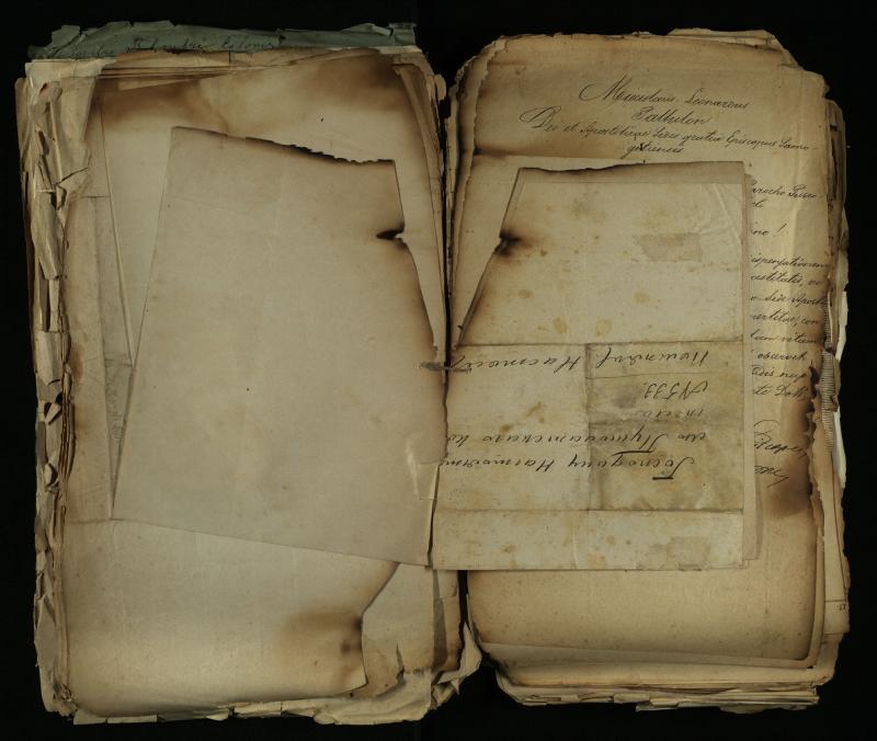 Pušaloto Romos katalikų parapijos bažnyčios 1884–1900 metų gaunamų raštų knyga