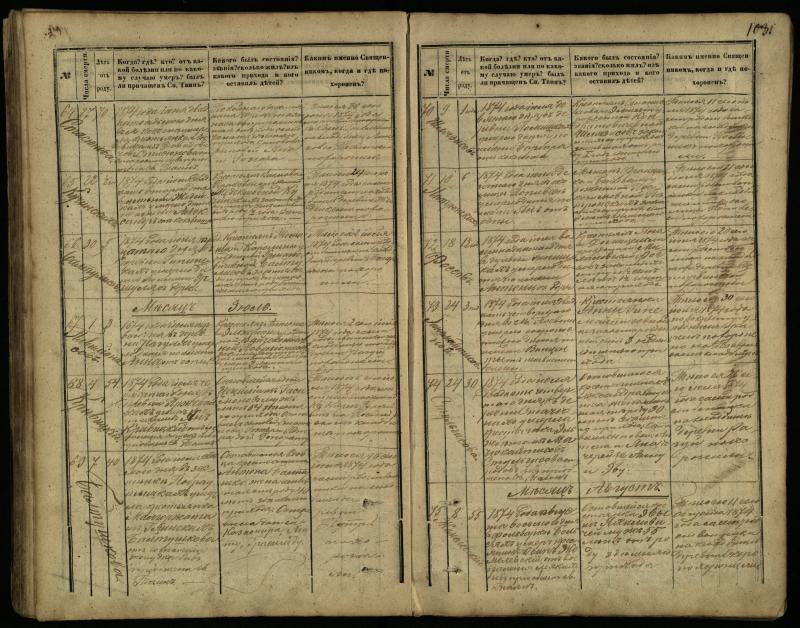 Pasvalio Romos katalikų parapijos bažnyčios 1866–1881 metų mirties metrikų knyga