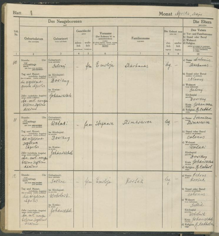 Daujėnų Romos katalikų parapijos bažnyčios 1917–1918 metų krikšto metrikų knyga