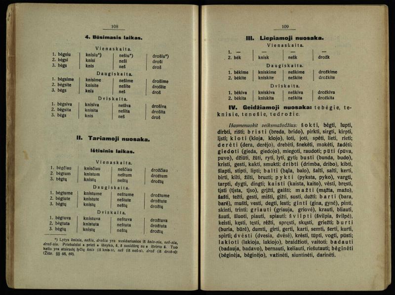 Lietuvių kalbos gramatika : trumpas vadovėlis mokykloms