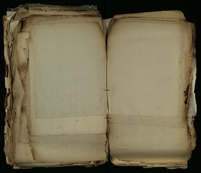Pušaloto Romos katalikų parapijos bažnyčios 1884–1900 metų gaunamų raštų knyga