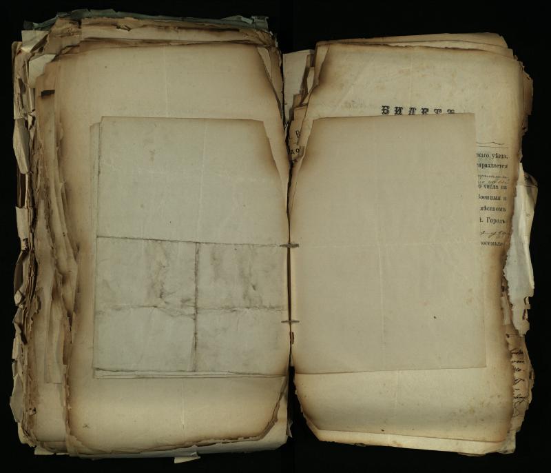 Pušaloto Romos katalikų parapijos bažnyčios 1884–1900 metų gaunamų raštų knyga