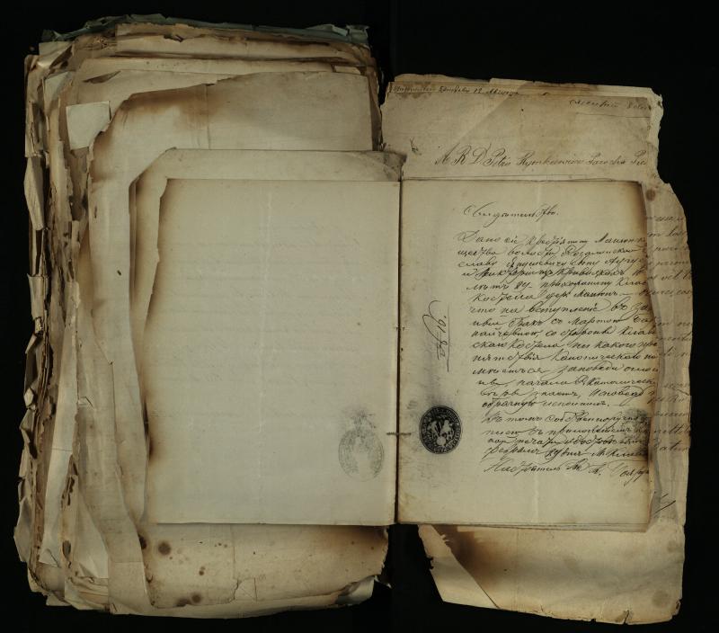 Pušaloto Romos katalikų parapijos bažnyčios 1884–1900 metų gaunamų raštų knyga