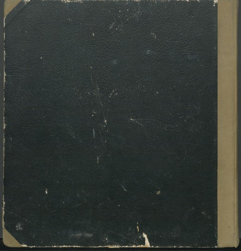 Daujėnų Romos katalikų parapijos bažnyčios 1917–1918 metų krikšto metrikų knyga