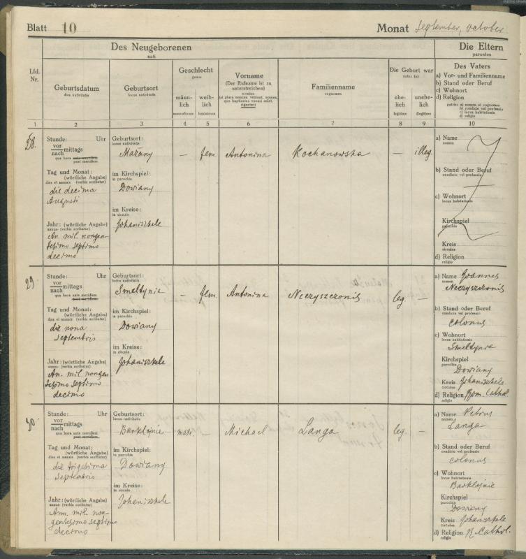 Daujėnų Romos katalikų parapijos bažnyčios 1917–1918 metų krikšto metrikų knyga