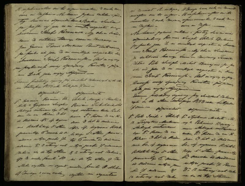 Pušaloto Romos katalikų parapijos bažnyčios 1847–1855 metų priešjungtuvinės apklausos knyga