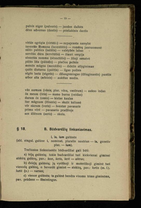 Lotynų kalbos etimologija ir pirmieji sintaksės dalykai: vidurinėms mokykloms vadovėlis (3-sios ir 4-sios kl. kursas) / K. Kliuksinas. – Kaunas: kooperacijos sąjungos „Spaudos fondo“ leidinys, 1932. – 131, [4] p.