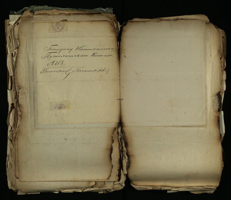 Pušaloto Romos katalikų parapijos bažnyčios 1884–1900 metų gaunamų raštų knyga
