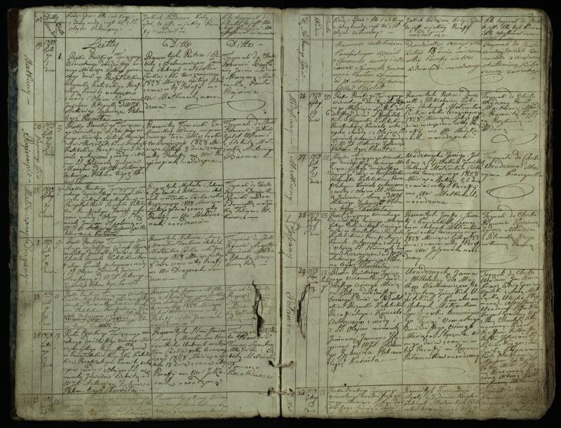 Pušaloto Romos katalikų parapijos bažnyčios 1828–1834 metų krikšto metrikų knyga